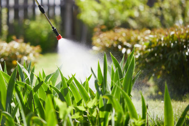 24/7 Emergency Fumigation Services experts in Shady Spring, WV