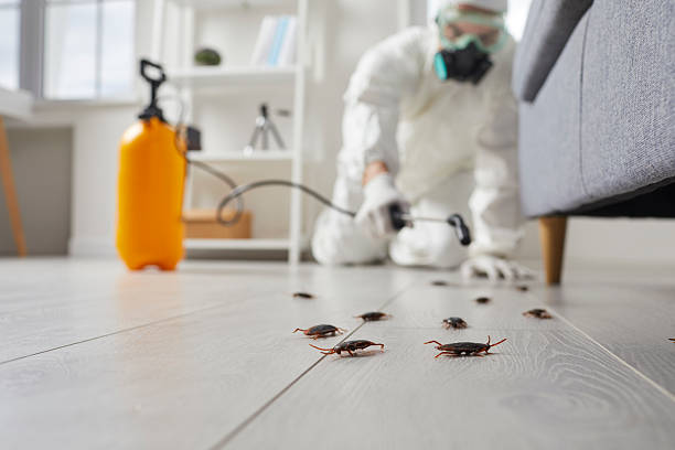 Trusted Mosquito Control service in Shady Spring, WV - Nex Pest Control
